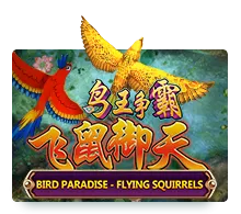 Bird Paradise